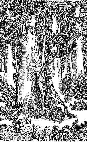 قصه «پری راستگو»، قصهها و افسانههای برادران گریم